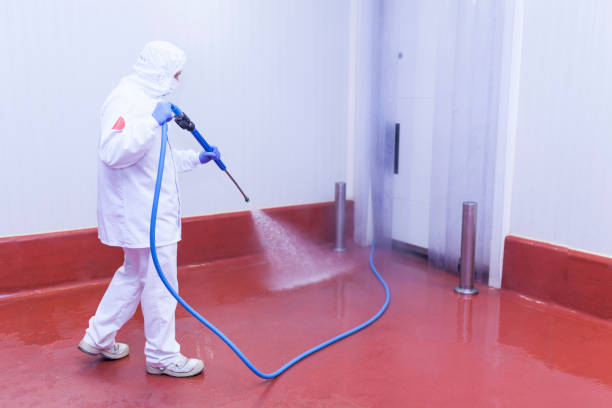 Best Oil Spill Cleanup  in Ocala, FL